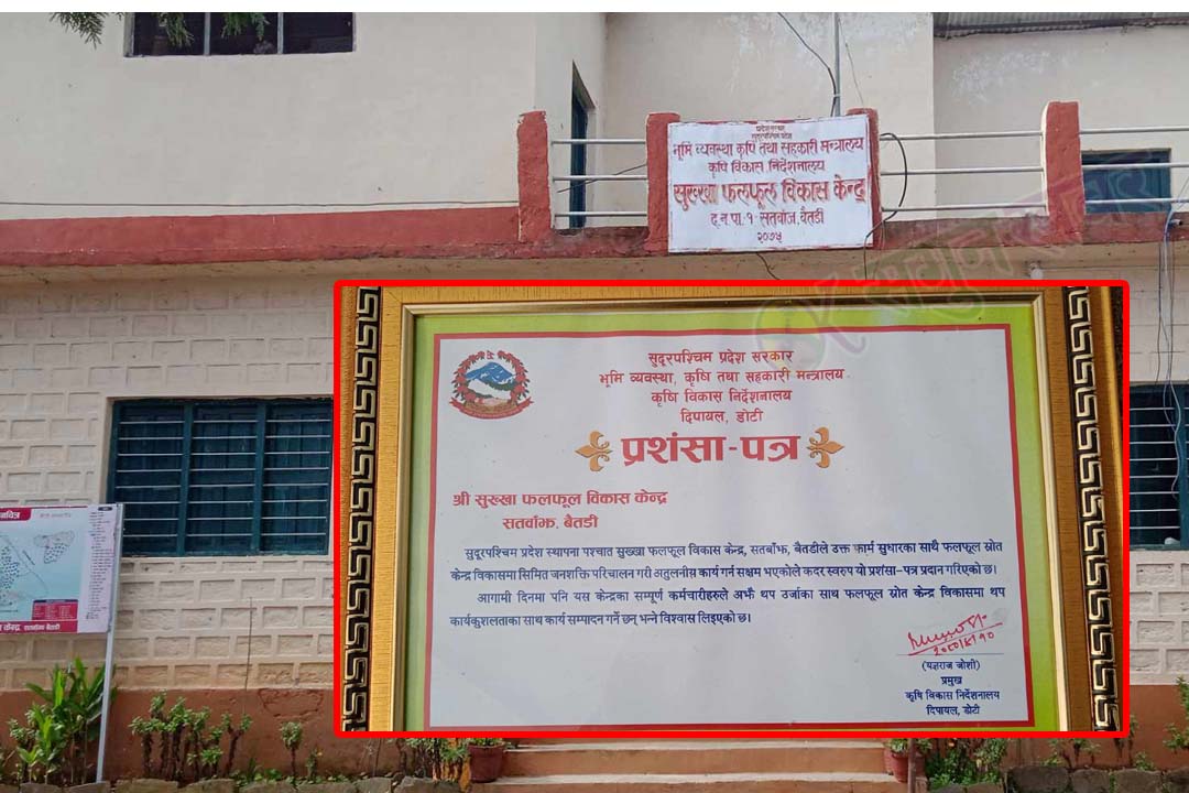 सुख्खा फलफूल विकास केन्द्र ‘उत्कृष्ट’ कार्यालय 